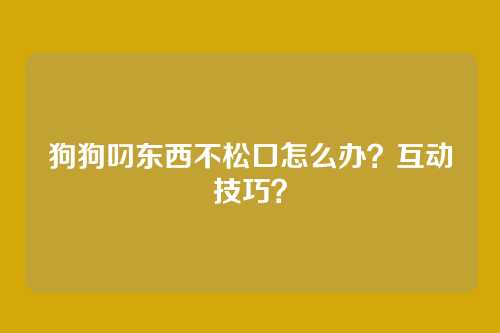 狗狗叼东西不松口怎么办？互动技巧？