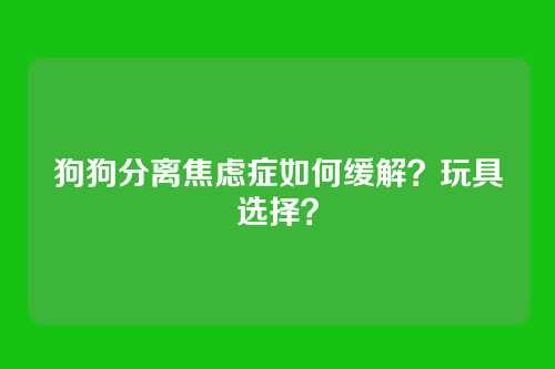 狗狗分离焦虑症如何缓解？玩具选择？