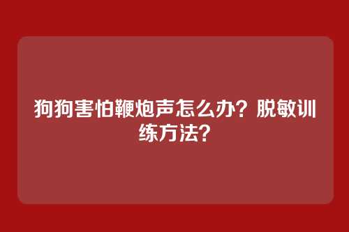 狗狗害怕鞭炮声怎么办？脱敏训练方法？