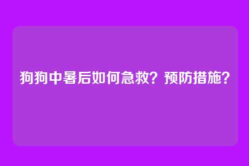 狗狗中暑后如何急救？预防措施？