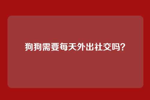 狗狗需要每天外出社交吗？