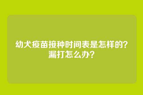 幼犬疫苗接种时间表是怎样的？漏打怎么办？
