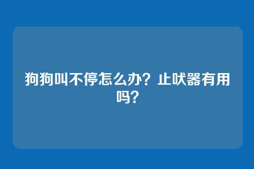 狗狗叫不停怎么办？止吠器有用吗？