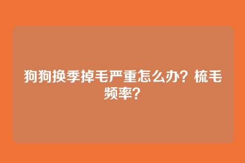 狗狗换季掉毛严重怎么办？梳毛频率？
