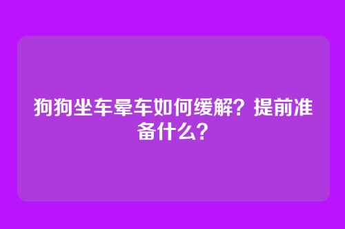 狗狗坐车晕车如何缓解？提前准备什么？