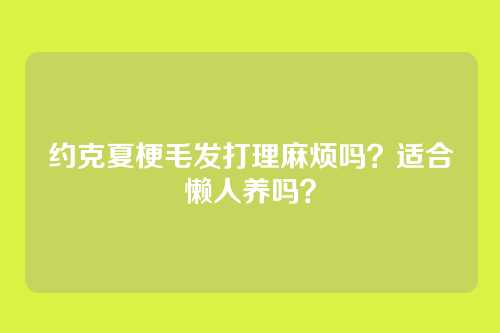 约克夏梗毛发打理麻烦吗？适合懒人养吗？