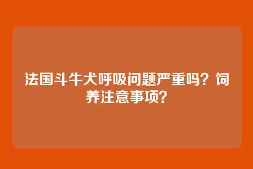 法国斗牛犬呼吸问题严重吗？饲养注意事项？