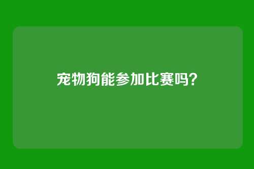 宠物狗能参加比赛吗？