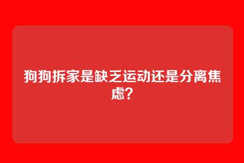 狗狗拆家是缺乏运动还是分离焦虑？