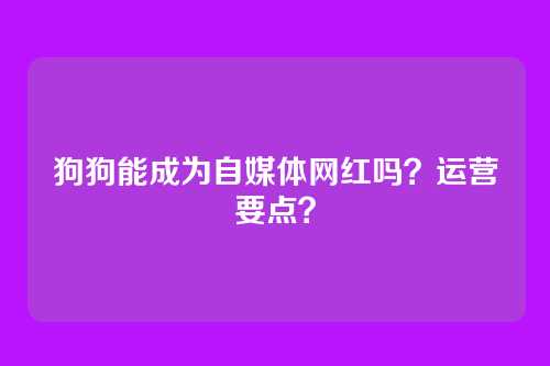 狗狗能成为自媒体网红吗？运营要点？