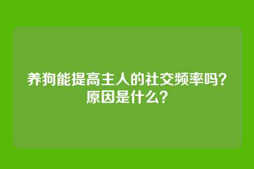 养狗能提高主人的社交频率吗？原因是什么？