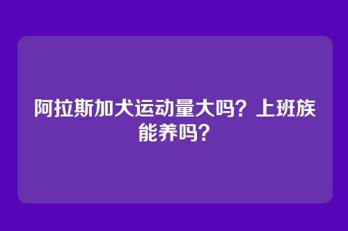 阿拉斯加犬运动量大吗？上班族能养吗？