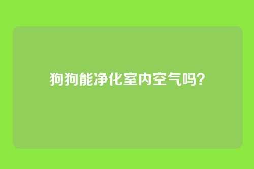 狗狗能净化室内空气吗？