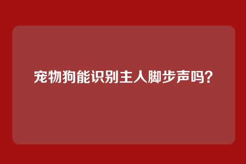 宠物狗能识别主人脚步声吗？