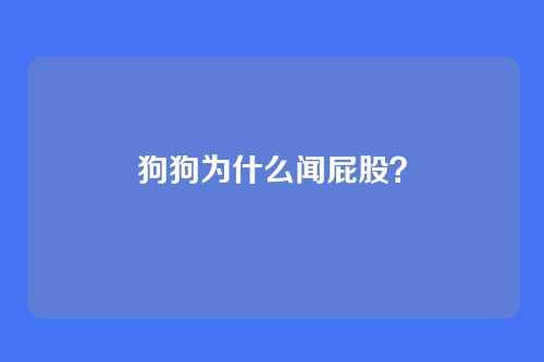 狗狗为什么闻屁股？