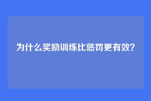 为什么奖励训练比惩罚更有效？