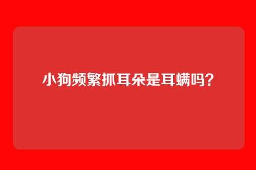 小狗频繁抓耳朵是耳螨吗？