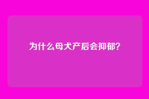 为什么母犬产后会抑郁？