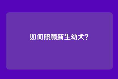 如何照顾新生幼犬？