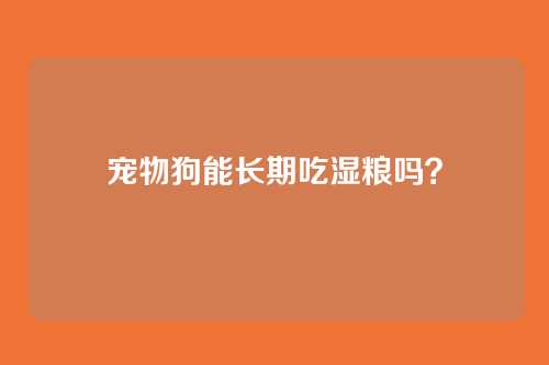 宠物狗能长期吃湿粮吗？