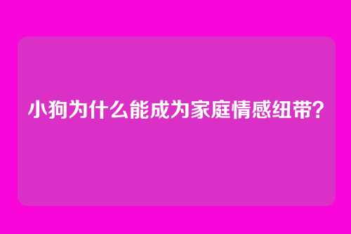 小狗为什么能成为家庭情感纽带？