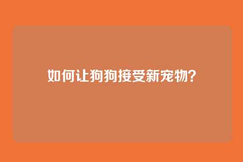 如何让狗狗接受新宠物？