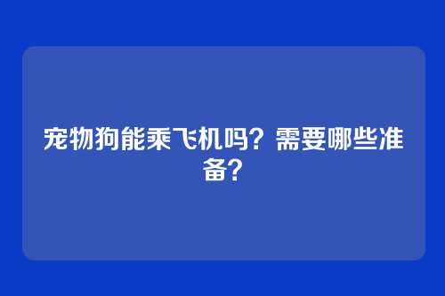 宠物狗能乘飞机吗？需要哪些准备？