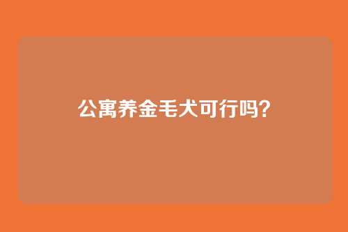 公寓养金毛犬可行吗？