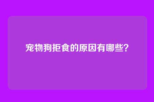 宠物狗拒食的原因有哪些？