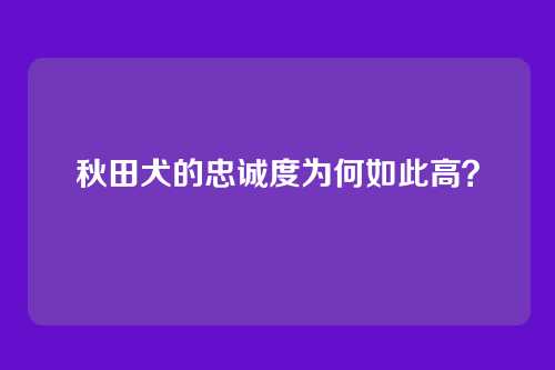 秋田犬的忠诚度为何如此高？