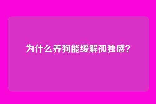 为什么养狗能缓解孤独感？
