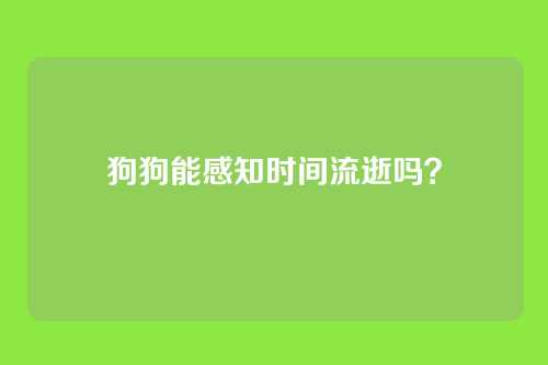 狗狗能感知时间流逝吗？