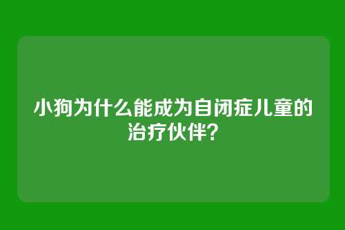 小狗为什么能成为自闭症儿童的治疗伙伴？