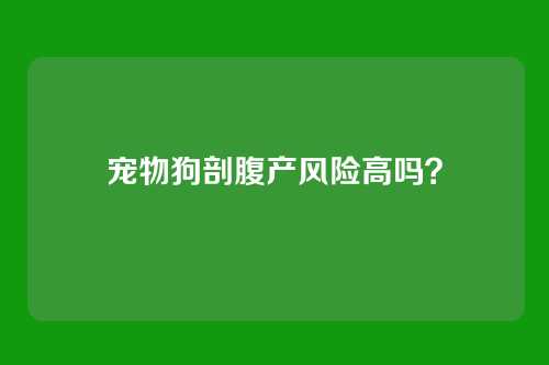 宠物狗剖腹产风险高吗？