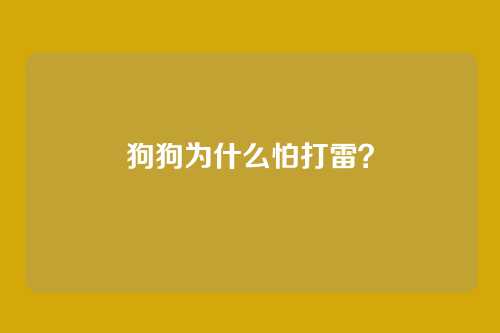 狗狗为什么怕打雷？