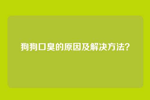 狗狗口臭的原因及解决方法？