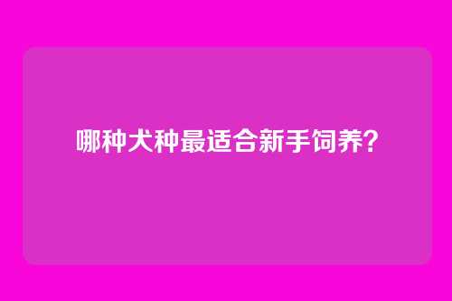 哪种犬种最适合新手饲养？