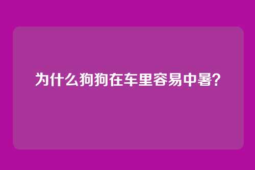 为什么狗狗在车里容易中暑？