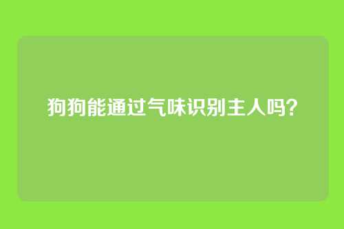 狗狗能通过气味识别主人吗？