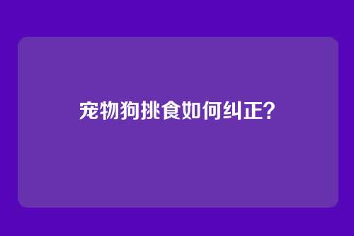 宠物狗挑食如何纠正？