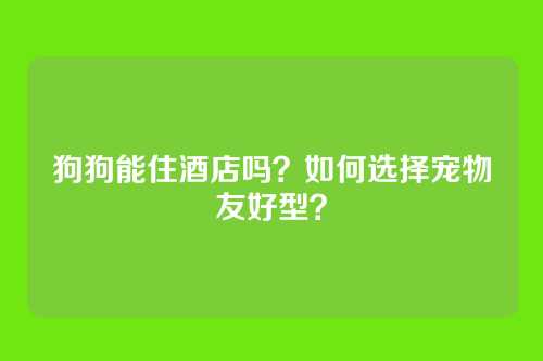 狗狗能住酒店吗？如何选择宠物友好型？