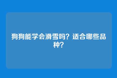 狗狗能学会滑雪吗？适合哪些品种？