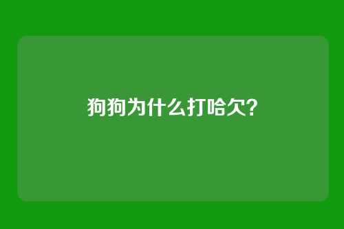 狗狗为什么打哈欠？