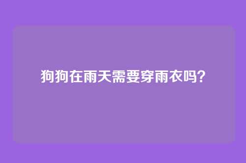 狗狗在雨天需要穿雨衣吗？