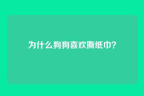 为什么狗狗喜欢撕纸巾？
