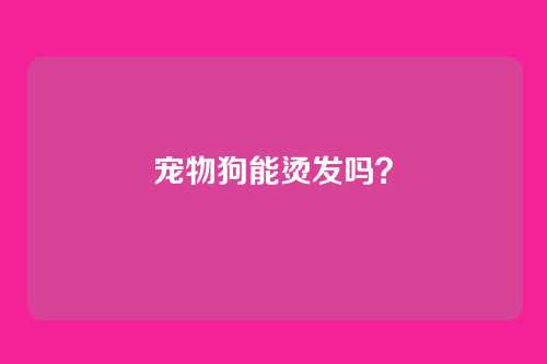 宠物狗能烫发吗？
