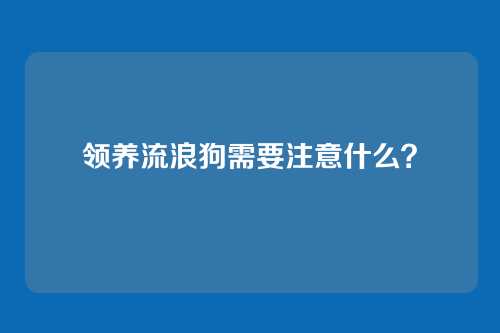 领养流浪狗需要注意什么？