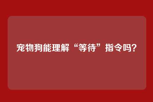 宠物狗能理解“等待”指令吗？