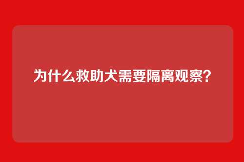 为什么救助犬需要隔离观察？