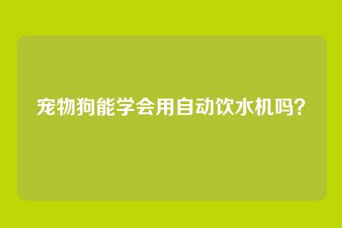 宠物狗能学会用自动饮水机吗？